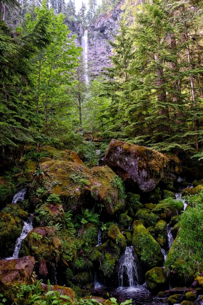 Upper Umpqua Waterfalls - Richard Krieger
